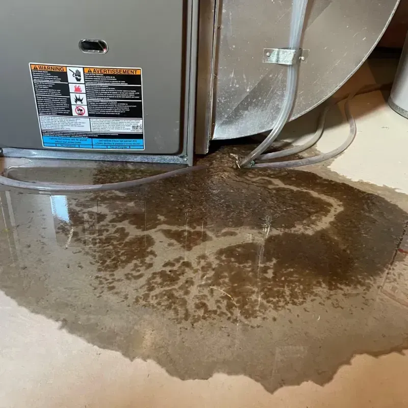 Appliance Leak Cleanup in Excelsior Springs, MO